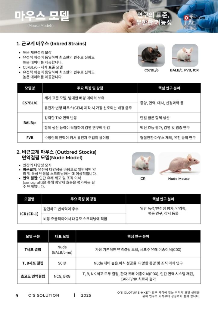 실험동물 판매 1 - 마우스 모델.jpg